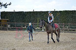 Badyhoeve is een terrein dat tot 3kinderen en hun pony's met de hond Djackson behoort.