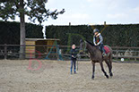 Badyhoeve is een terrein dat tot 3kinderen en hun pony's met de hond Djackson behoort.