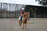 Badyhoeve is een terrein dat tot 3kinderen en hun pony's met de hond Djackson behoort.
