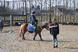 Badyhoeve is een terrein dat tot 3kinderen en hun pony's met de hond Djackson behoort.