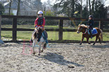 Badyhoeve is een terrein dat tot 3kinderen en hun pony's met de hond Djackson behoort.