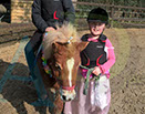 Badyhoeve is een terrein dat tot 3kinderen en hun pony's met de hond Djackson behoort.