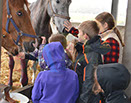 Badyhoeve is een terrein dat tot 3kinderen en hun pony's met de hond Djackson behoort.