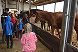 Badyhoeve is een terrein dat tot 3kinderen en hun pony's met de hond Djackson behoort.