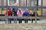 Badyhoeve is een terrein dat tot 3kinderen en hun pony's met de hond Djackson behoort.