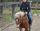 Badyhoeve is een terrein dat tot 3kinderen en hun pony's met de hond Djackson behoort.