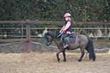 Badyhoeve is een terrein dat tot 3kinderen en hun pony's met de hond Djackson behoort.