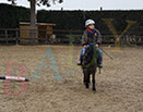 Badyhoeve is een terrein dat tot 3kinderen en hun pony's met de hond Djackson behoort.