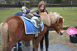 Badyhoeve is een terrein dat tot 3kinderen en hun pony's met de hond Djackson behoort.