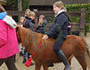 Badyhoeve is een terrein dat tot 3kinderen en hun pony's met de hond Djackson behoort.