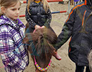 Badyhoeve is een terrein dat tot 3kinderen en hun pony's met de hond Djackson behoort.