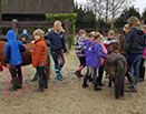 Badyhoeve is een terrein dat tot 3kinderen en hun pony's met de hond Djackson behoort.
