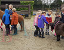 Badyhoeve is een terrein dat tot 3kinderen en hun pony's met de hond Djackson behoort.
