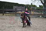 Badyhoeve is een terrein dat tot 3kinderen en hun pony's met de hond Djackson behoort.