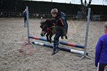 Badyhoeve is een terrein dat tot 3kinderen en hun pony's met de hond Djackson behoort.