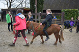 Badyhoeve is een terrein dat tot 3kinderen en hun pony's met de hond Djackson behoort.