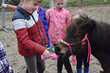 Badyhoeve is een terrein dat tot 3kinderen en hun pony's met de hond Djackson behoort.
