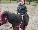 Badyhoeve is een terrein dat tot 3kinderen en hun pony's met de hond Djackson behoort.