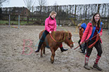 Badyhoeve is een terrein dat tot 3kinderen en hun pony's met de hond Djackson behoort.
