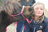 Badyhoeve is een terrein dat tot 3kinderen en hun pony's met de hond Djackson behoort.