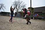 Badyhoeve is een terrein dat tot 3kinderen en hun pony's met de hond Djackson behoort.
