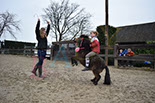 Badyhoeve is een terrein dat tot 3kinderen en hun pony's met de hond Djackson behoort.