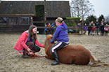 Badyhoeve is een terrein dat tot 3kinderen en hun pony's met de hond Djackson behoort.