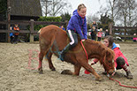 Badyhoeve is een terrein dat tot 3kinderen en hun pony's met de hond Djackson behoort.