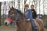 Badyhoeve is een terrein dat tot 3kinderen en hun pony's met de hond Djackson behoort.