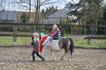 Badyhoeve is een terrein dat tot 3kinderen en hun pony's met de hond Djackson behoort.