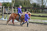 Badyhoeve is een terrein dat tot 3kinderen en hun pony's met de hond Djackson behoort.