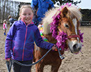 Badyhoeve is een terrein dat tot 3kinderen en hun pony's met de hond Djackson behoort.