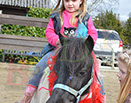Badyhoeve is een terrein dat tot 3kinderen en hun pony's met de hond Djackson behoort.