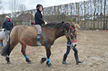 Badyhoeve is een terrein dat tot 3kinderen en hun pony's met de hond Djackson behoort.
