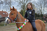 Badyhoeve is een terrein dat tot 3kinderen en hun pony's met de hond Djackson behoort.