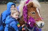 Badyhoeve is een terrein dat tot 3kinderen en hun pony's met de hond Djackson behoort.