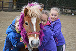 Badyhoeve is een terrein dat tot 3kinderen en hun pony's met de hond Djackson behoort.