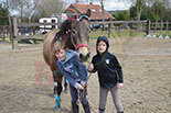 Badyhoeve is een terrein dat tot 3kinderen en hun pony's met de hond Djackson behoort.