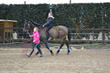 Badyhoeve is een terrein dat tot 3kinderen en hun pony's met de hond Djackson behoort.