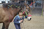 Badyhoeve is een terrein dat tot 3kinderen en hun pony's met de hond Djackson behoort.