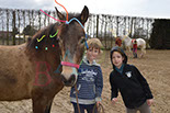 Badyhoeve is een terrein dat tot 3kinderen en hun pony's met de hond Djackson behoort.