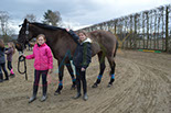 Badyhoeve is een terrein dat tot 3kinderen en hun pony's met de hond Djackson behoort.
