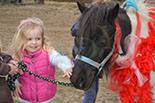 Badyhoeve is een terrein dat tot 3kinderen en hun pony's met de hond Djackson behoort.