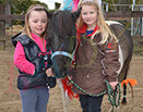 Badyhoeve is een terrein dat tot 3kinderen en hun pony's met de hond Djackson behoort.