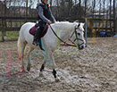 Badyhoeve is een terrein dat tot 3kinderen en hun pony's met de hond Djackson behoort.