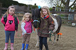 Badyhoeve is een terrein dat tot 3kinderen en hun pony's met de hond Djackson behoort.