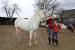 Badyhoeve is een terrein dat tot 3kinderen en hun pony's met de hond Djackson behoort.