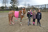 Badyhoeve is een terrein dat tot 3kinderen en hun pony's met de hond Djackson behoort.