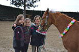 Badyhoeve is een terrein dat tot 3kinderen en hun pony's met de hond Djackson behoort.