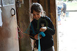 Badyhoeve is een terrein dat tot 3kinderen en hun pony's met de hond Djackson behoort.